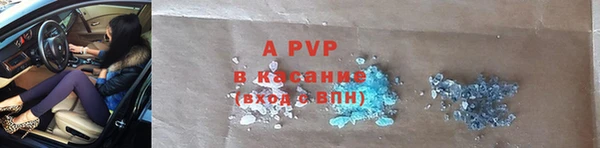 гидра Абаза