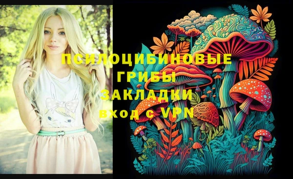 мет Алексин