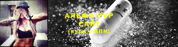 гидра Абаза