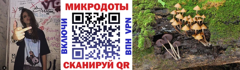 Псилоцибиновые грибы Psilocybe  блэк спрут маркетплейс  Алагир 
